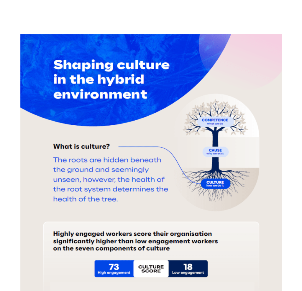 Shaping Culture Infographic Snippet