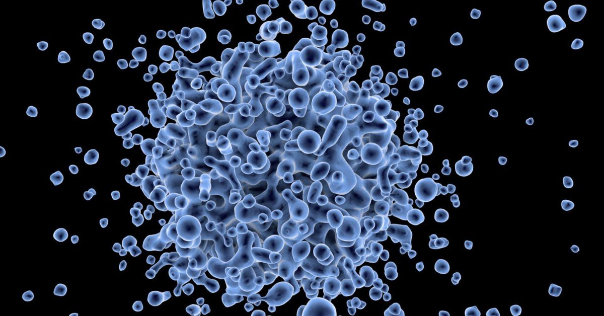 What-Is-a-Digital-Twin_-How-Virtual-Models-Are-Changing-Medicine-and-More.jpg