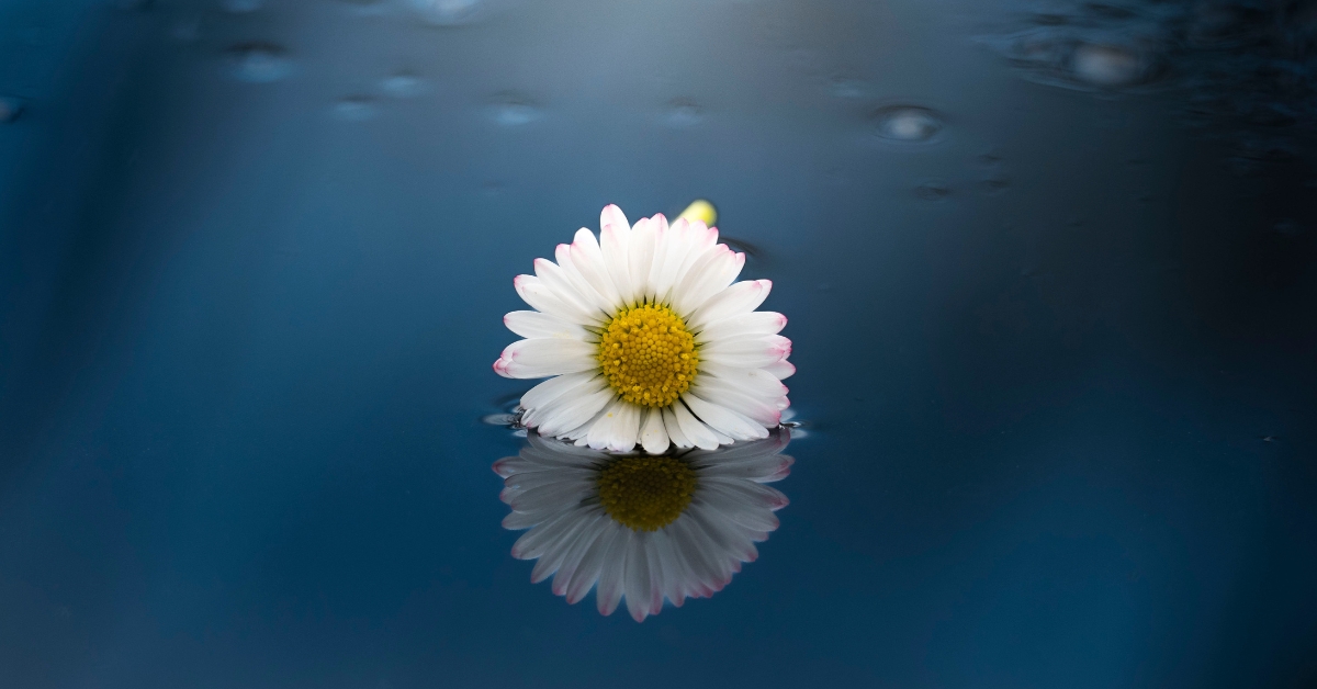 Grief and chronic illness_ the invisible layers we carry